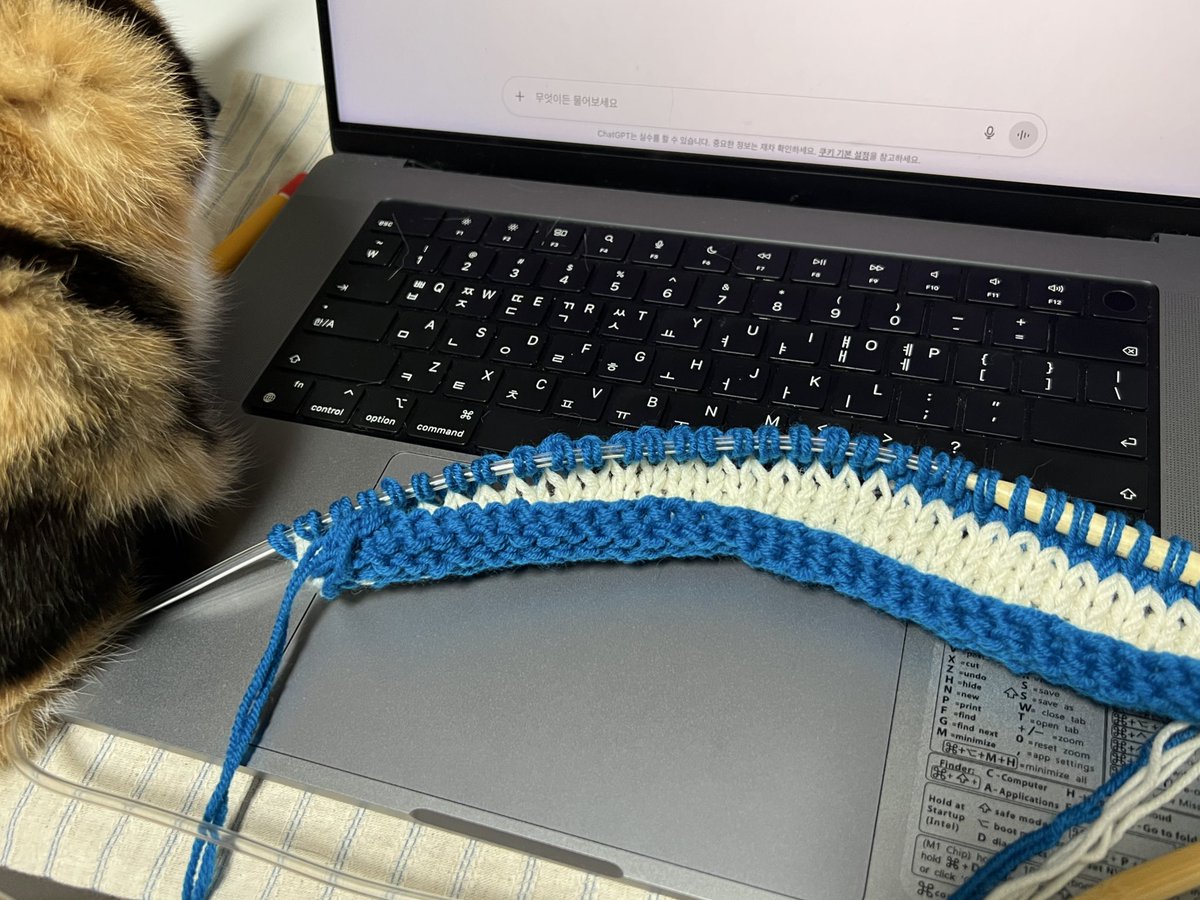 _epdl's tweet image. 대바늘 어려워서 울고싶음 ..