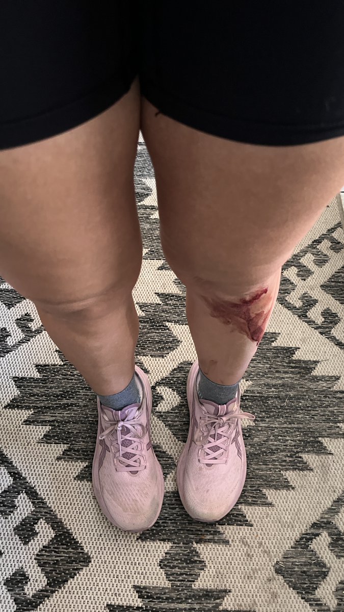 🇵🇸 Eulogs 🇵🇸 tweet media