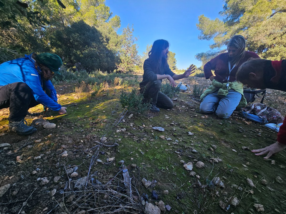 Marc Riera tweet media