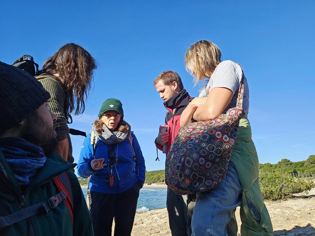 Marc Riera tweet media