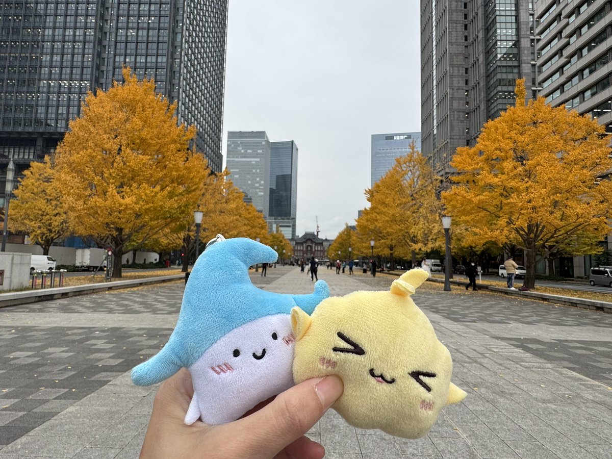 Catarotime's tweet image. 這一趟沒什麼把他們拿出來拍照的機會

但也是去看了

新宿的聖誕樹🎄
武藏野博物館
東京車站的銀杏
最後一天還多了一位小夥伴🐧

2025的🇯🇵旅程在這裡先告一段落
明年繼續帶著🌊🍿出去玩( ¯ ∀ ¯ )