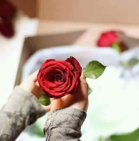 قد تحب انسان لمجرد انك شعرت معة بشيء مختلف،
آمــــــــان، راحـــــــــه، ســـكــيــنـــه، 
حتى أنك تشتاق لحديثه 
وهو لايعلم بذلك....
وأنــــت لاتعلم عنه شيء 
سوا أنك احببت روحه دون لــــقــــاء

            ✍🏻: صباح النور 🌹