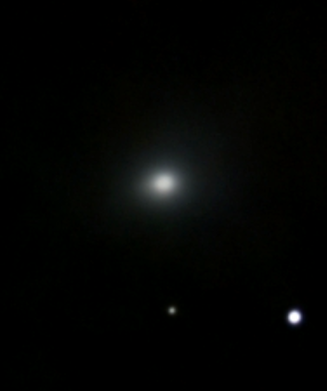 Petriz Lab 𝕏 tweet media