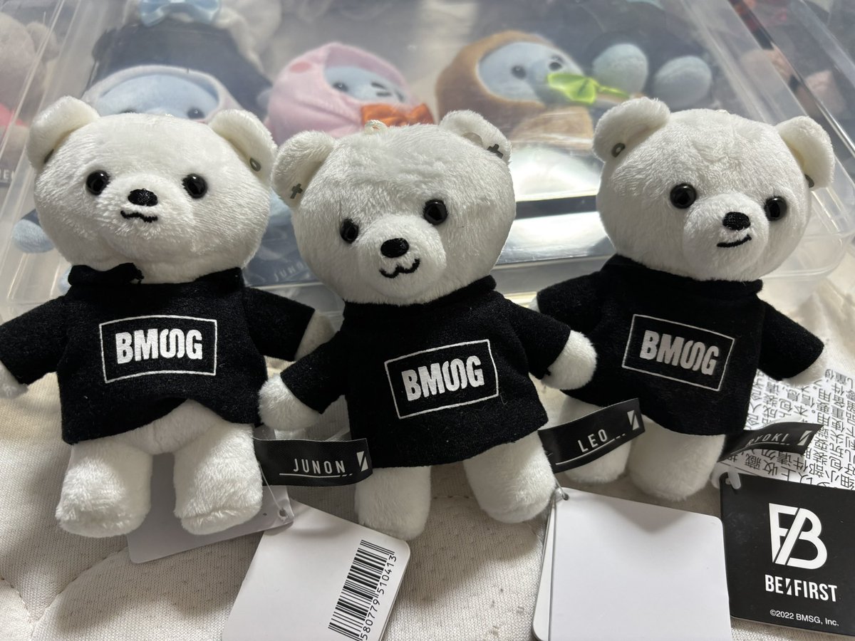 BE:FIRST BMSGパーカーくま SHUNTO BE:FIRST SHUNTOシュントくま【BMSG