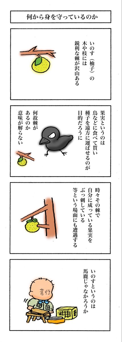 【今日も絞りました】
一日いち四コマ1,186
#漫画が読めるハッシュタグ
#高知の漫画 