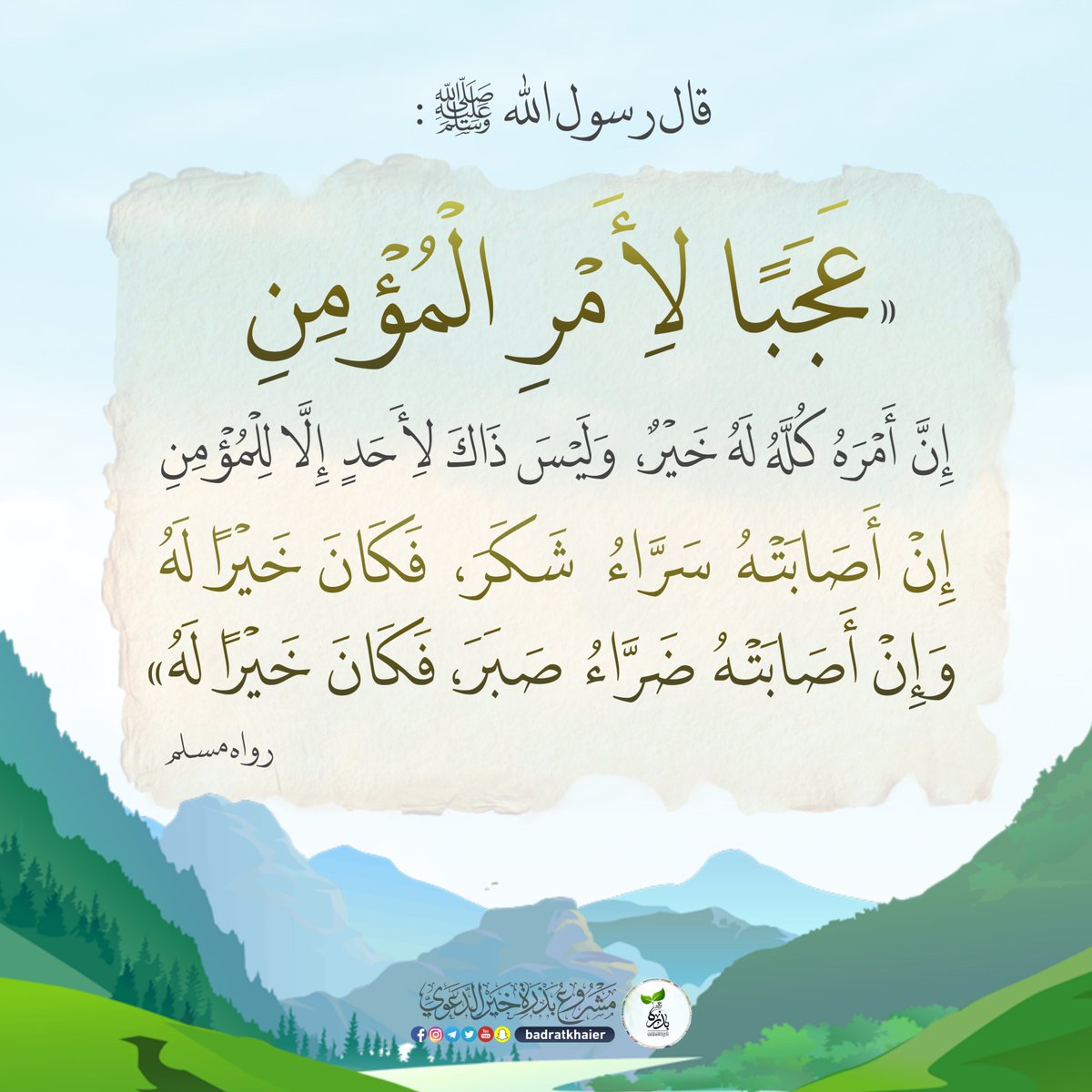 بذرة خير (@badratkhaier) on Twitter photo 