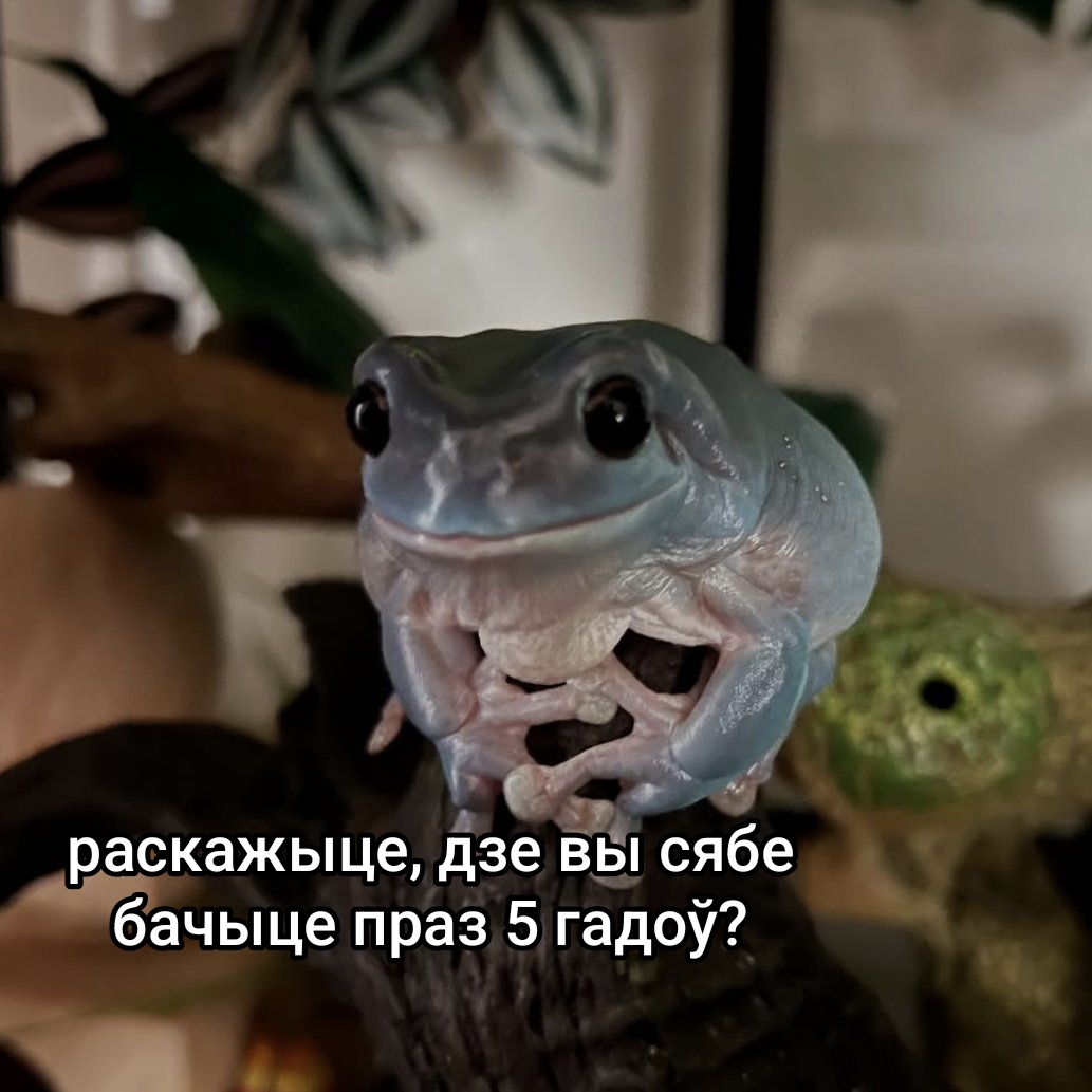 devby's tweet image. Серада ✨