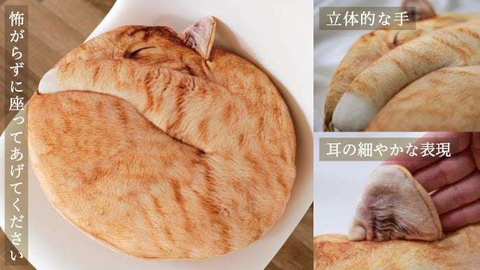 え？これクッション⁉️ 猫好きのみなさん〜〜〜🐈 まるで本物のねこ