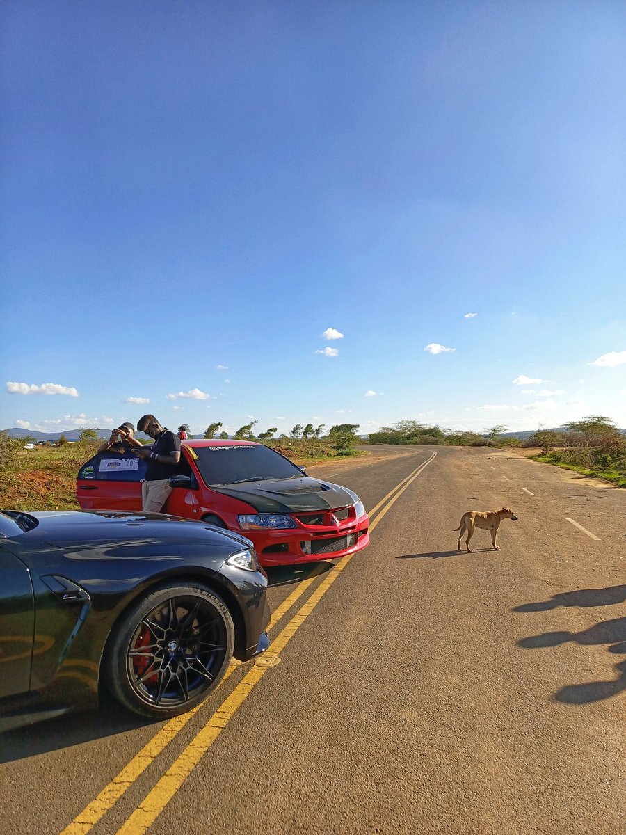 zollz's tweet image. Share a photo or photos you shot with a phone.