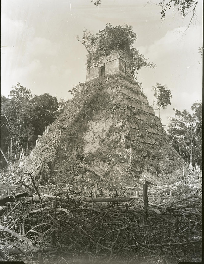 V0rathis's tweet image. Ruins of the Mayan temple of Tikal, Guatemala, c. 1880s. Tikal was the capital of a state that became one of the most powerful kingdoms of the ancient Maya. Later as the population declined, the site was eventually abandoned in the 10th century.
#algorithm #History