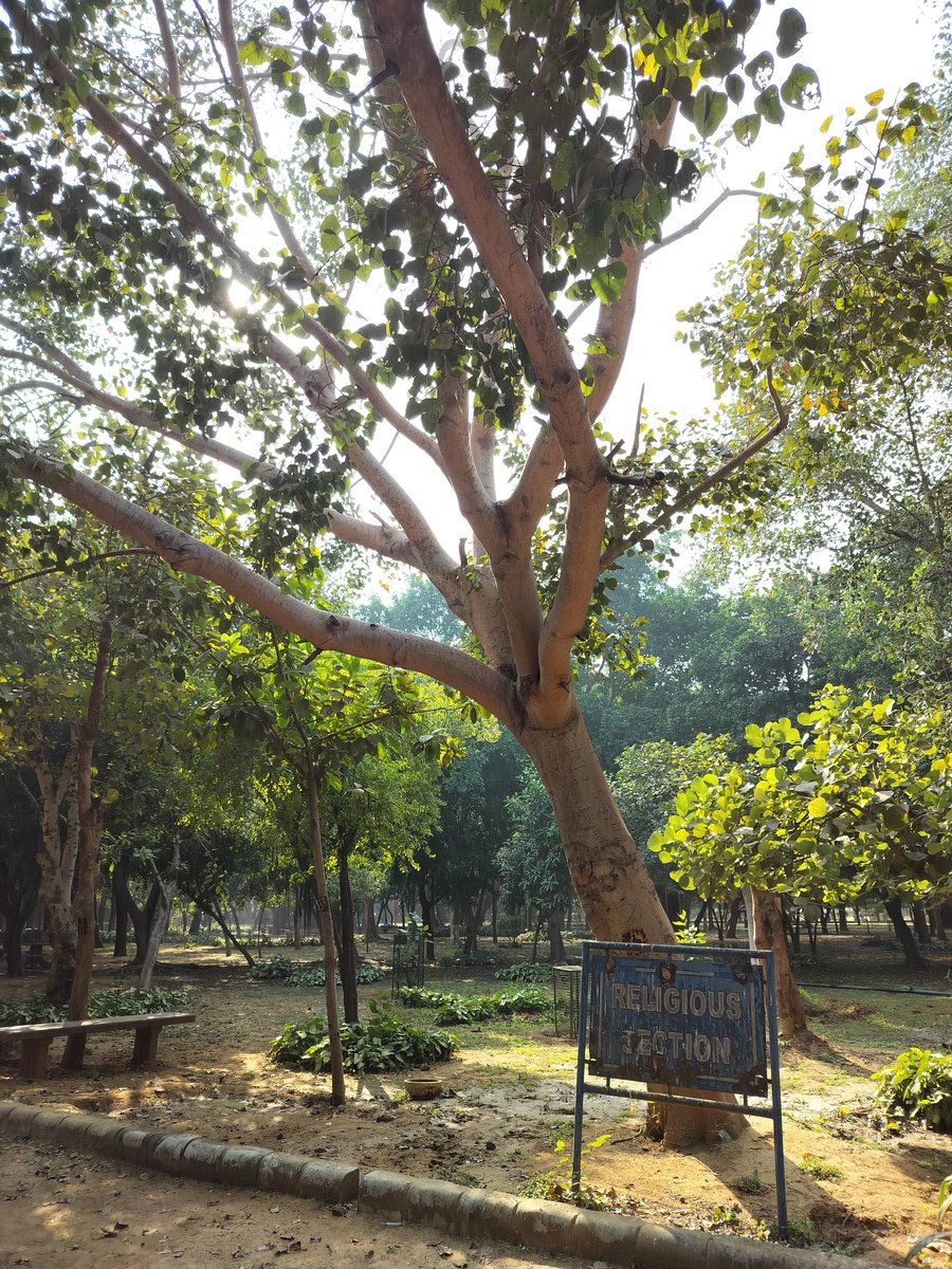 paul_iraa's tweet image. Mid-run