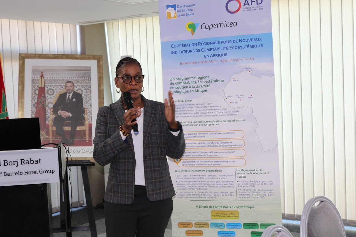 OSS_Comms's tweet image. Natural capital accounting is a strategic lever for informed public policies. In #Rabat, the #ENCA regional workshop brings partners and countries together to advance tools, share progress and strengthen a unified African approach... oss-online.org/en/CoperniceaR…