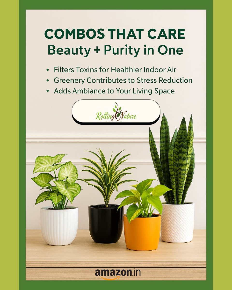 RollingNature's tweet photo. Each live plant brings its own air-purifying superpower to your space. Shop Now at our Amazon Store https://t.co/ybJeuduX1u 
https://t.co/BodhLuiycK Safe Delivery All Over India.
#Plants #Indoorplants #nursery #airpurifyingplants #airpurifier #cleanair https://t.co/9uFHyNtdBY
