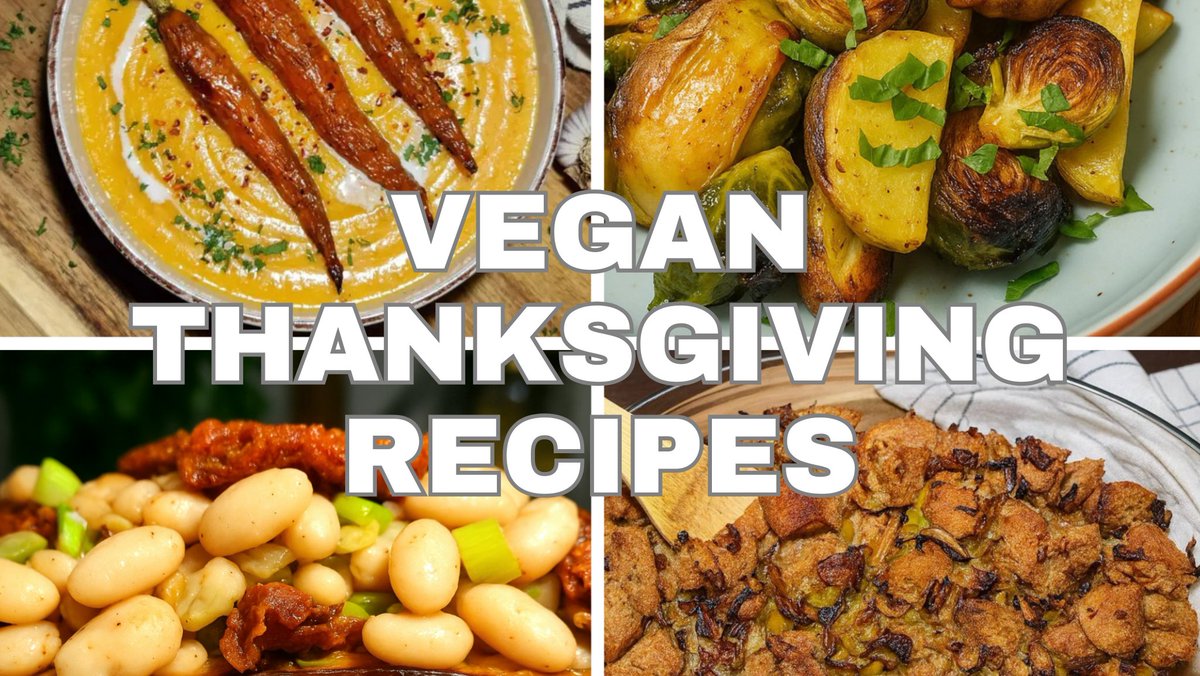 Must-try Vegan Thanksgiving Recipes:
youtu.be/kD4sPFcPLOg?si…