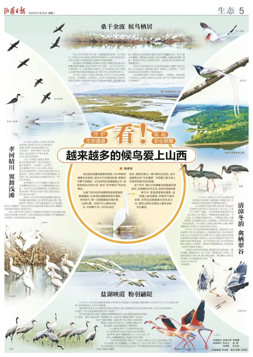 乔一🇨🇳 tweet media