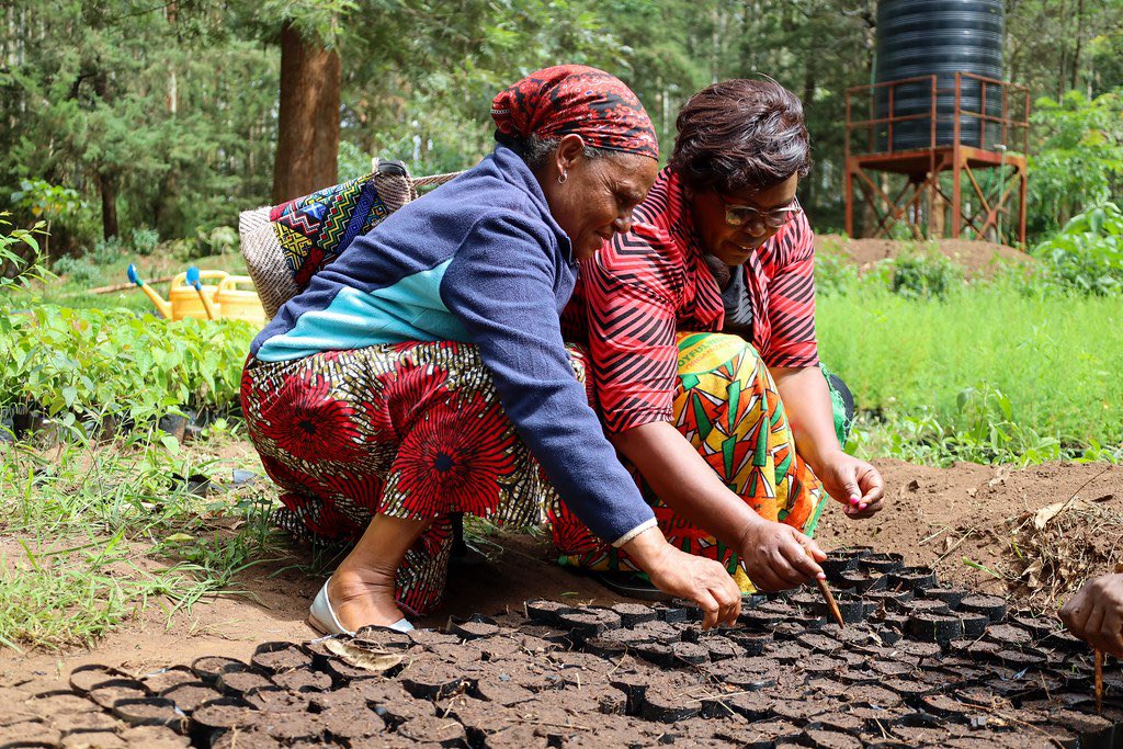 Joyful Women Org. tweet media