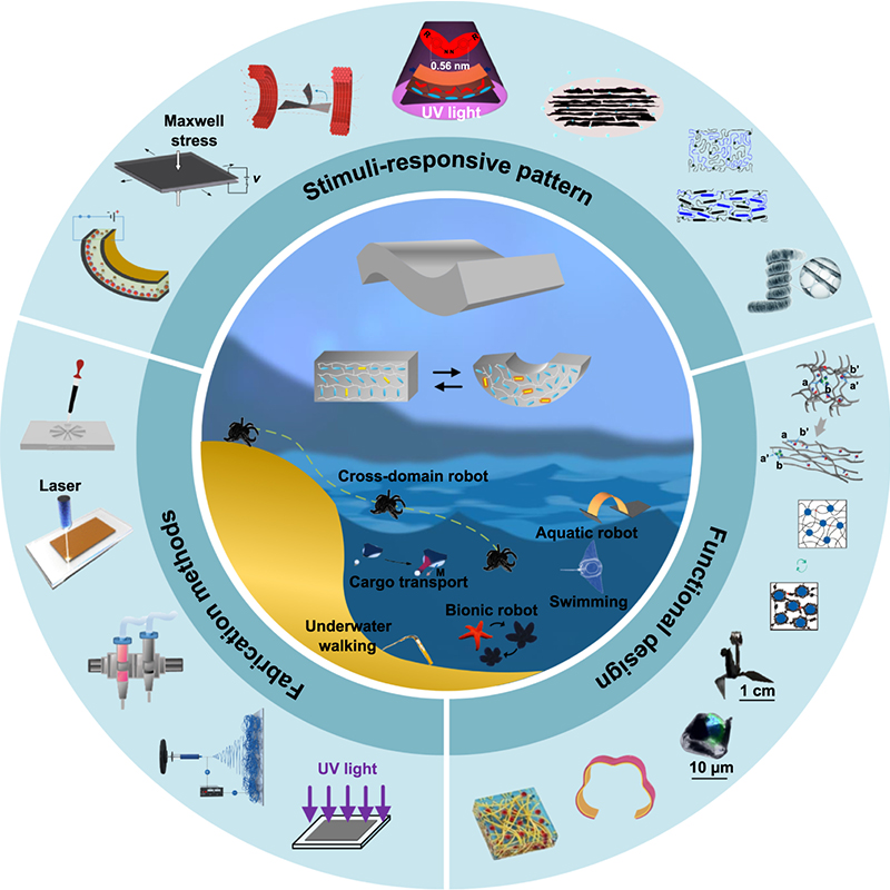 IntJExtremManuf's tweet image. This review covers stimuli-responsive #actuators in underwater #robotics, discussing their design, fabrication and applications, emphasizing the need for advances in durability, multifunctionality, and autonomous capabilities for #MarineEnvironments.

#IJEM:…