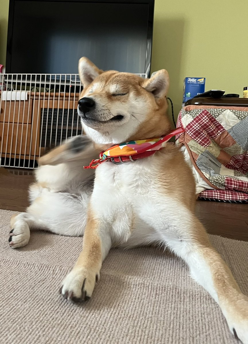 かゆーーい、えーーい！