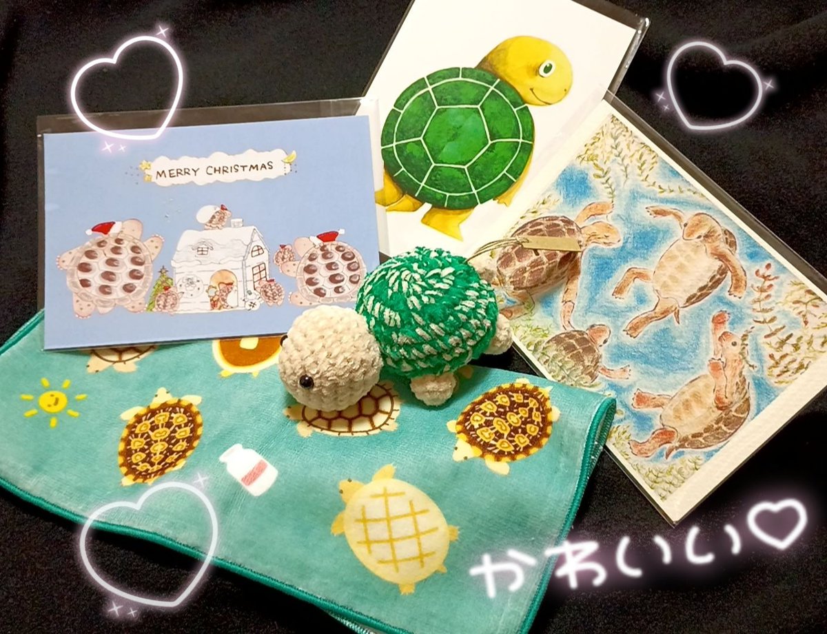 はやしりえ@2/12〜17 かめづくし2026 京阪百貨店守口店 (@kame884r