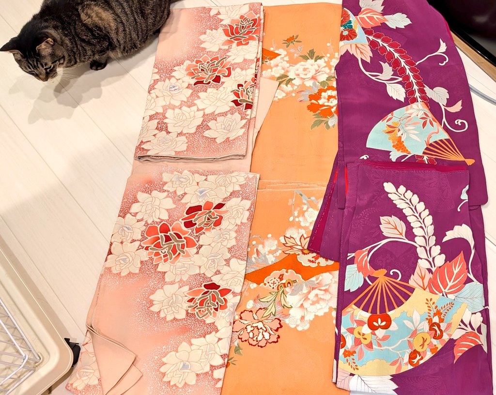 猫と着物、始めました (@nekotokimonoto) / Posts / X