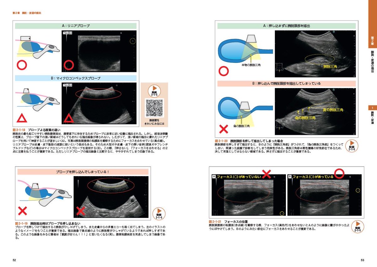 ウサギの医学　緑書房 ウサギの医学 | 霍野 晋吉 |本 | 通販 | Amazon