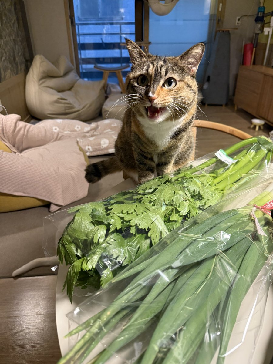 풀을 먹어야 해요오오오오어어어엉