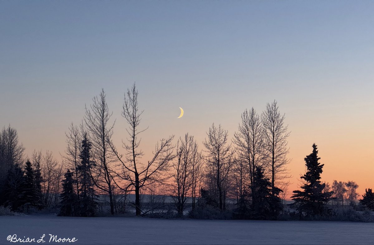lonzom10's tweet image. The setting sun and the rising moon made for an interestingly beautiful end to the day. ❄️☀️🌙

#Alaska #Winter #Views #Sunset #Moon
