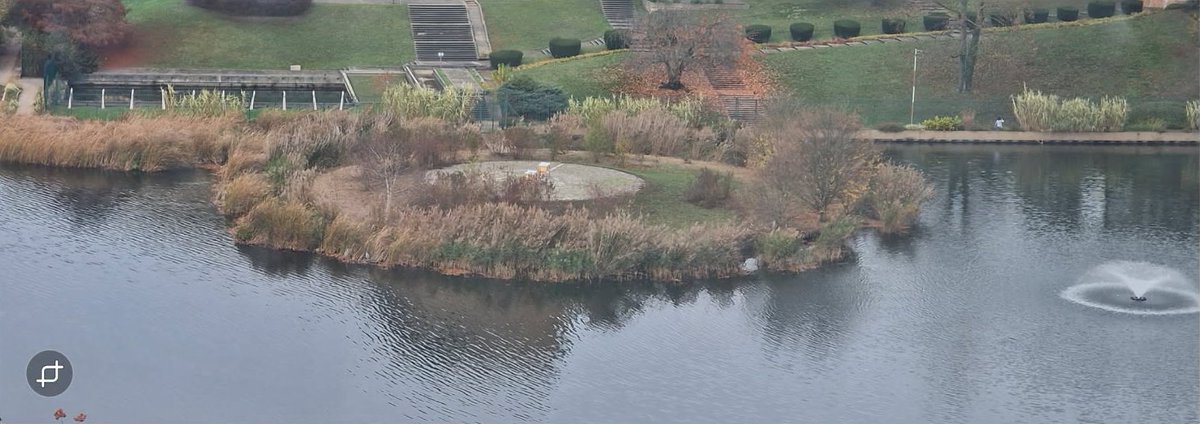 Lac de Créteil tweet media