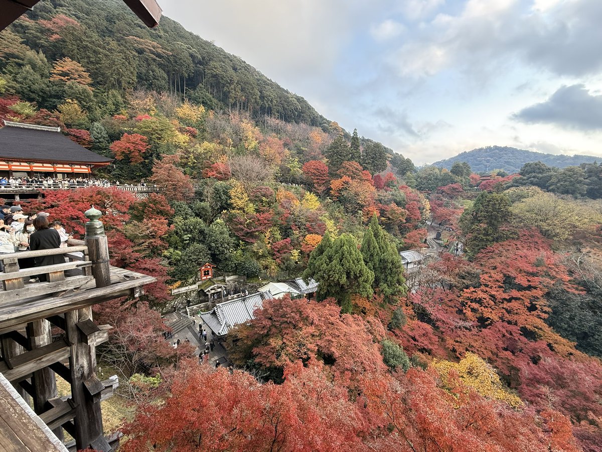 BitInvolution's tweet image. 由于这周MSX的市场部在日本团建，每天安排都挺满，所以每周四的Space暂停一次，下周再搞。

休假和工作一样重要，这几天白天看庙，晚上睡觉，快乐的不行，暂时不想提工作。

我也不准备搞一个“xx实在是太辛苦啦，在旅游期间仍然忙里偷忙的，在富士山下抱着电脑开space”的宣发。…