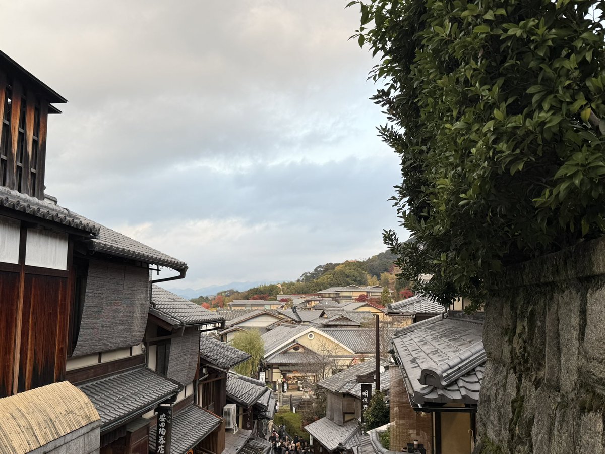 BitInvolution's tweet image. 由于这周MSX的市场部在日本团建，每天安排都挺满，所以每周四的Space暂停一次，下周再搞。

休假和工作一样重要，这几天白天看庙，晚上睡觉，快乐的不行，暂时不想提工作。

我也不准备搞一个“xx实在是太辛苦啦，在旅游期间仍然忙里偷忙的，在富士山下抱着电脑开space”的宣发。…