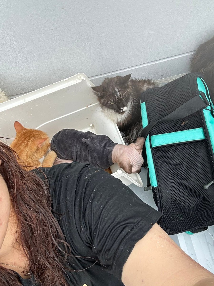 mynameisnan94's tweet image. ‼️‼️เคสนี้แม่จะไม่ไหวแล้วค่ะ ‼️‼️

ช่วยหน่อยนะคะ ไม่ไหวแล้วจริงๆ กำลังจะหมดแรงมากๆ เด็กไม่มีเป๋าใส่เลยไปกับน้ำแล้ว ไม่รู้จะขอช่วยทางไหนทางได้้บ้าง แม่ร้องไห้จนไม่มีน้ำตา ภาวนาจนหมดแรงแล้วค่ะ 🙏🏻 

พิกัดเกาะหมี ซอยข้างมัสยิด อยู่บนหลังคาบ้านเลขที่ 18/8 แบตจะหมดแล้วค่ะ

#น้ำท่วม…