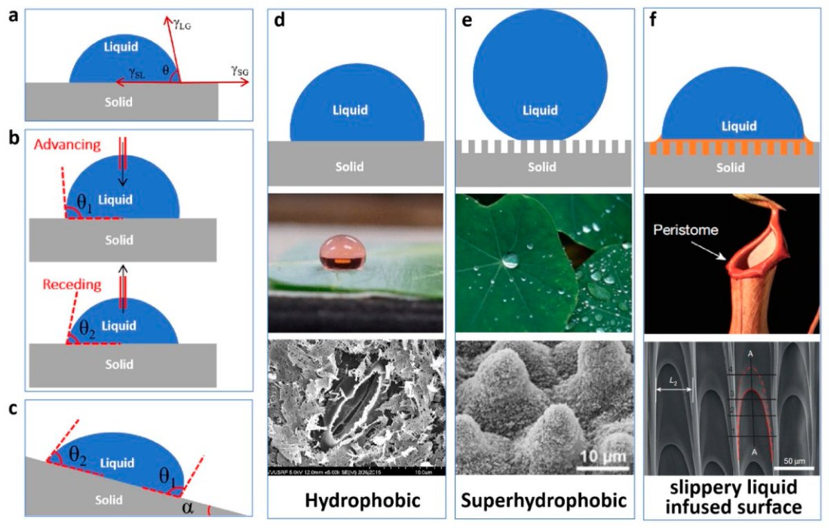 Applsci's tweet image. ☀️ Welcome to read these review papers in Applied Sciences!
1. Advances in Computer-Aided #MedicalImageProcessing
mdpi.com/2076-3417/13/1…
by Hang Cui, Liang Hu and Ling Chi
2. Advancements and Prospects of #ElectronicNose in Various Applications: A Comprehensive Review…