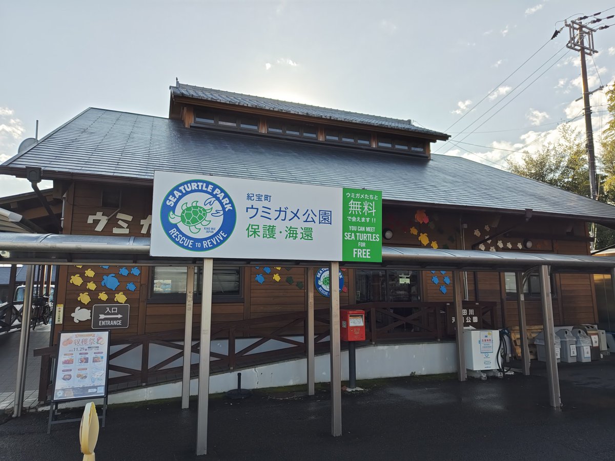 zc33s_konezumi's tweet photo. 道の駅 紀宝町の ウミガメ公園 で軽いランチを食べてから、お隣にあるウミガメ水族館を見に行きました😀
散歩中のリクガメさんがこねちゃんとお話ししてたみたいです(笑)
その後、今回の旅の最後に紀北町の 道の駅 紀伊長島マンボウ で #R42 と #R309 の #国道ステッカー をGET!
楽しい2日間でした✌ https://t.co/A4lG4ugrC0