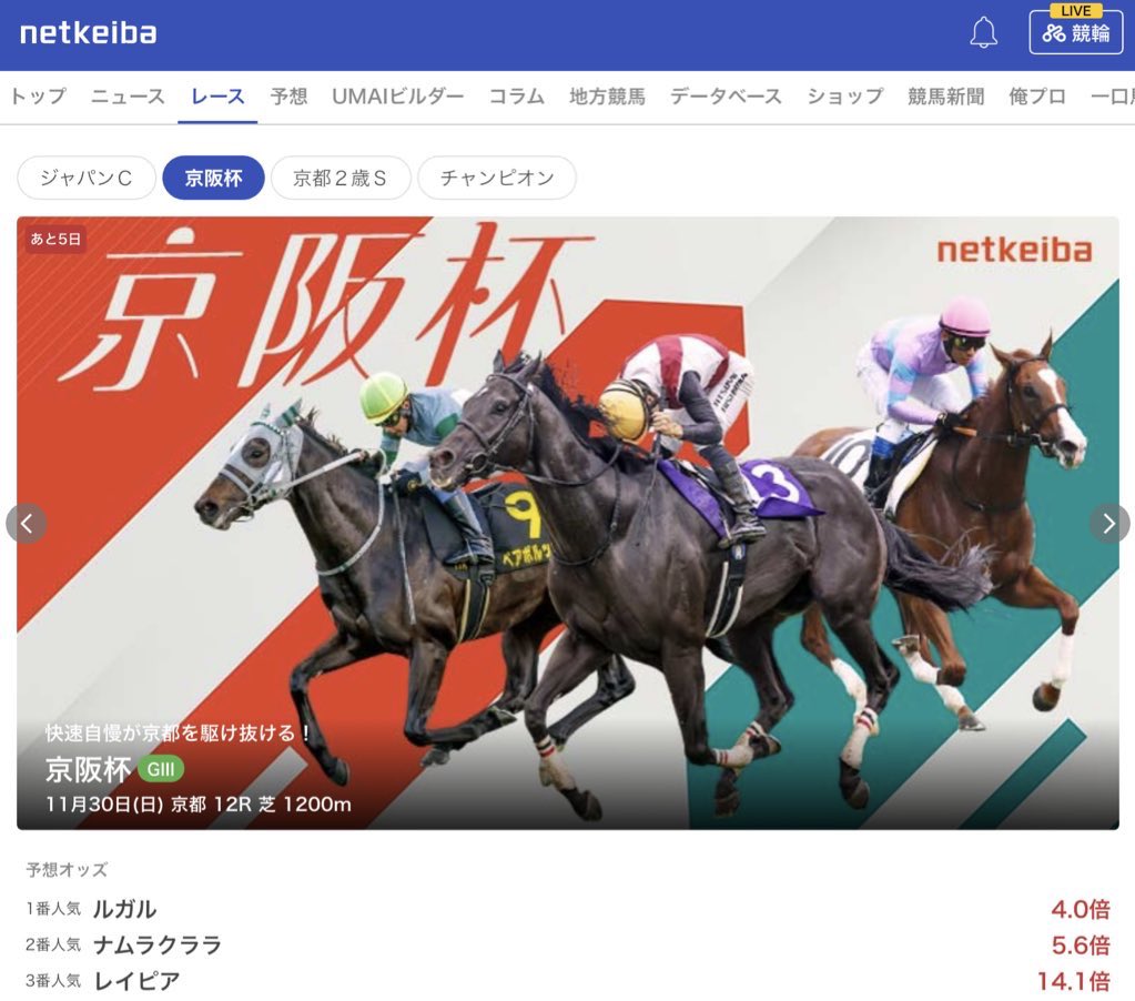 レイピアくん、重賞出る時は毎回（多分）netkeibaのこの表紙飾ってたの