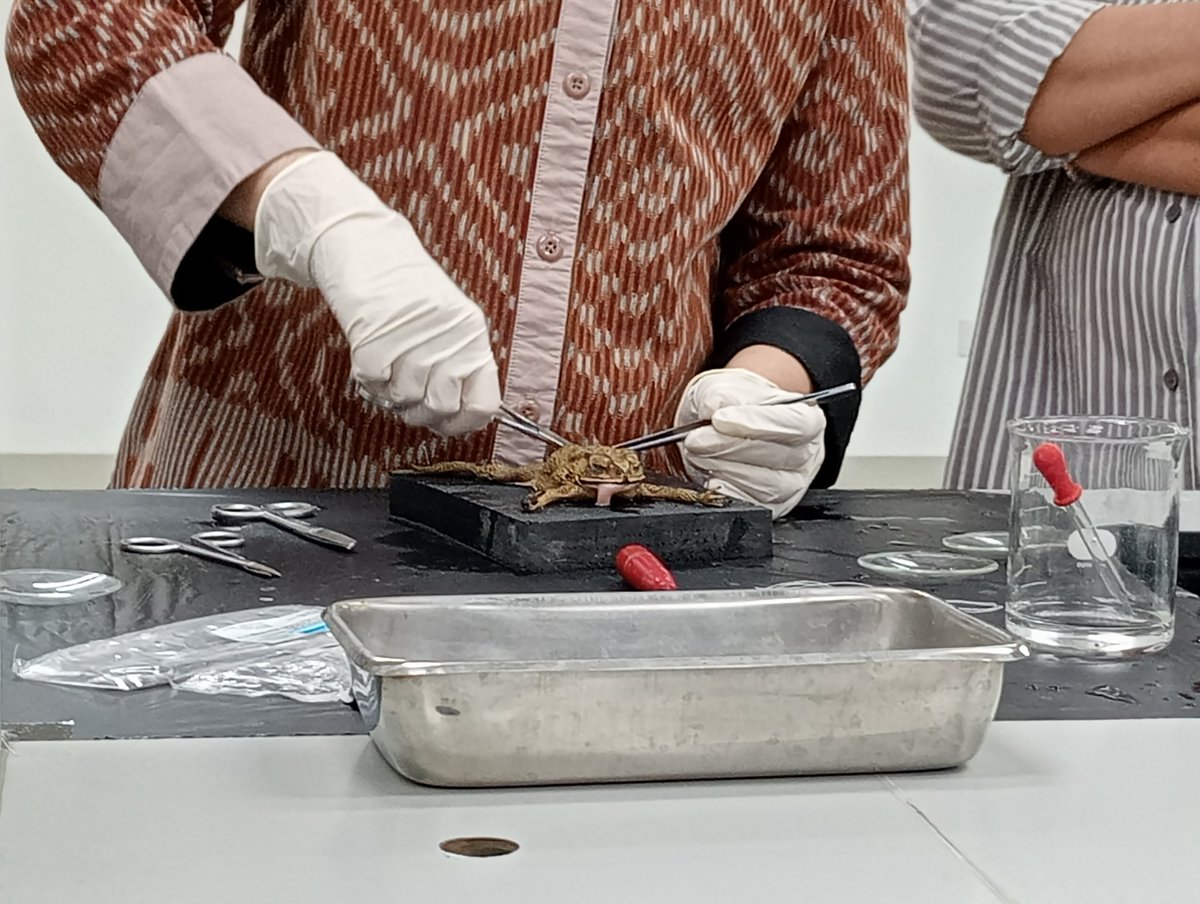 raqeeela's tweet image. physio moment