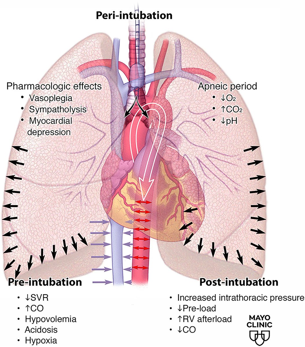 Critical Care Reviews tweet media