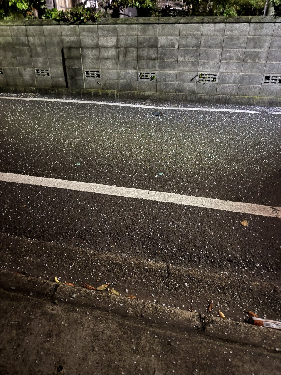 雹はえぐい