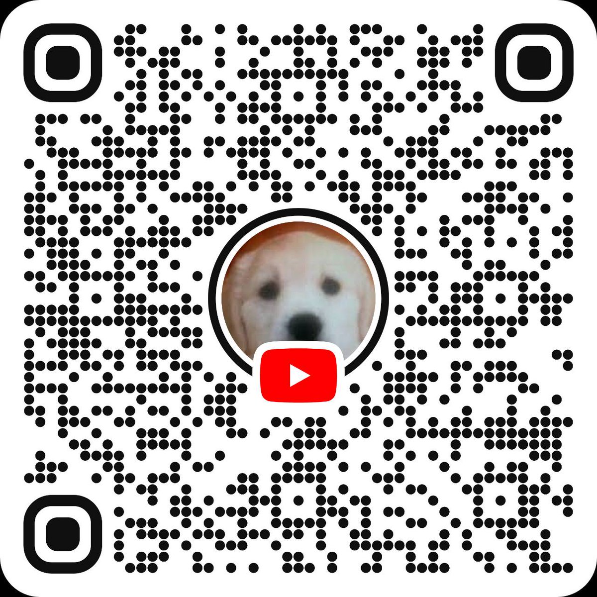 YouTubeChannelのURLです。
宜しくお願いします。
m(_ _)m