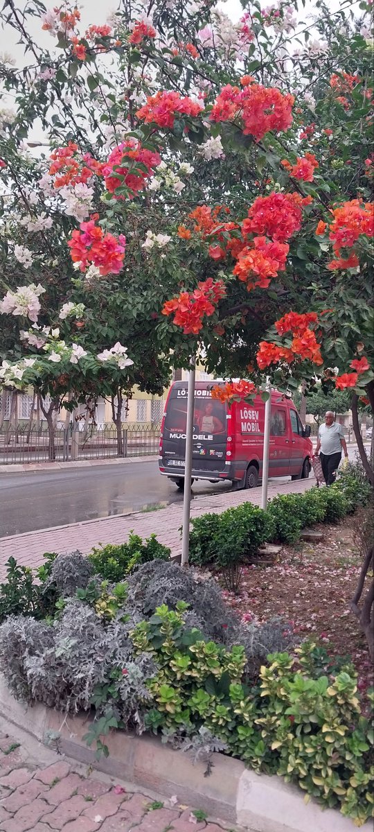 Yaşasın #Lösev
Yaşasın Lösemili Çocuklar 

Gittiğimiz yerde çiçekler açar. 
🌺🌺🌺

<a href="/losev1998/">LÖSEV</a> 

#AdanaLösev 

#Lösevheryerde
#MutluEt 
#LöMobil 
#Tarsus