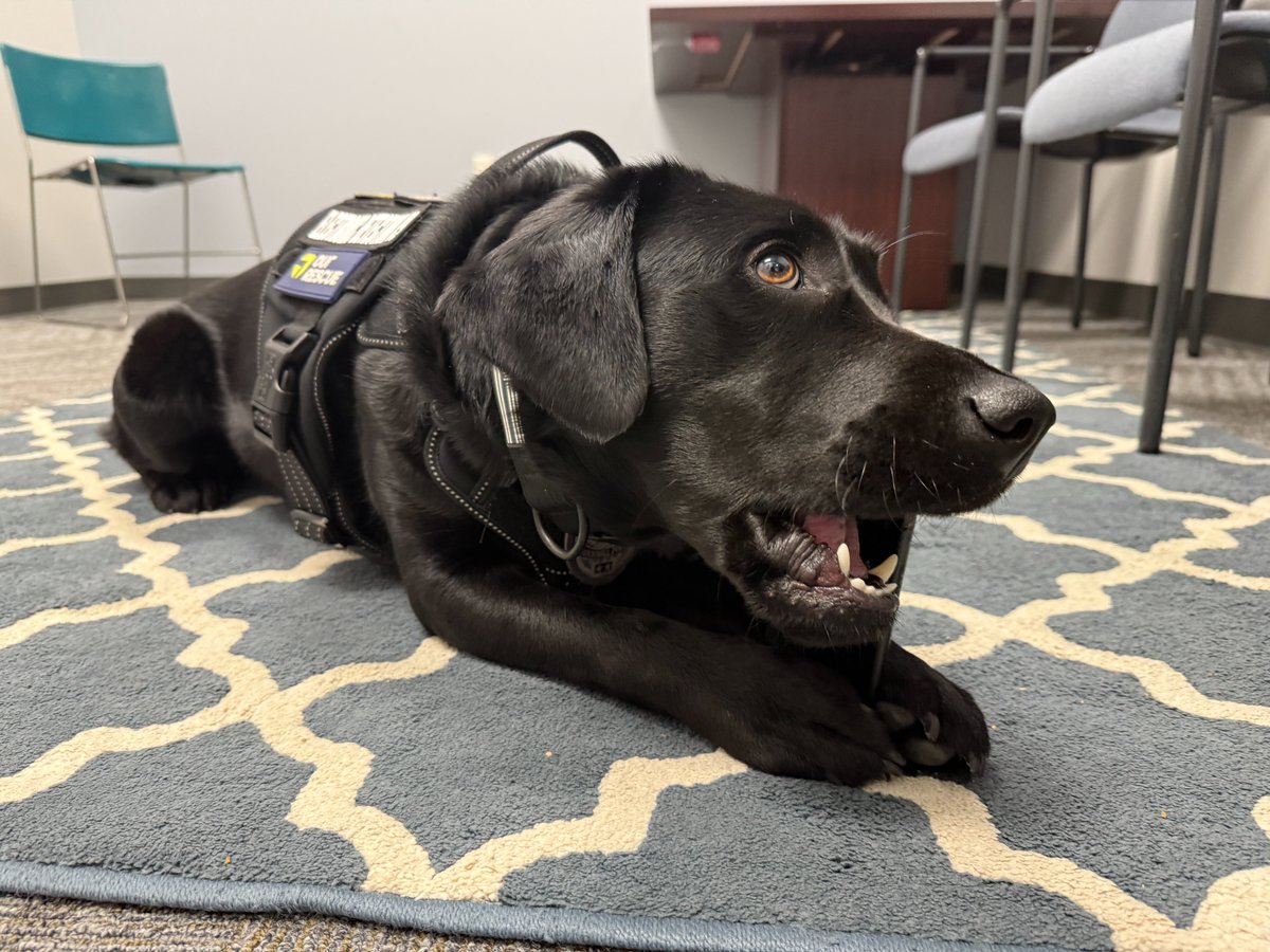 Blessing tweet media