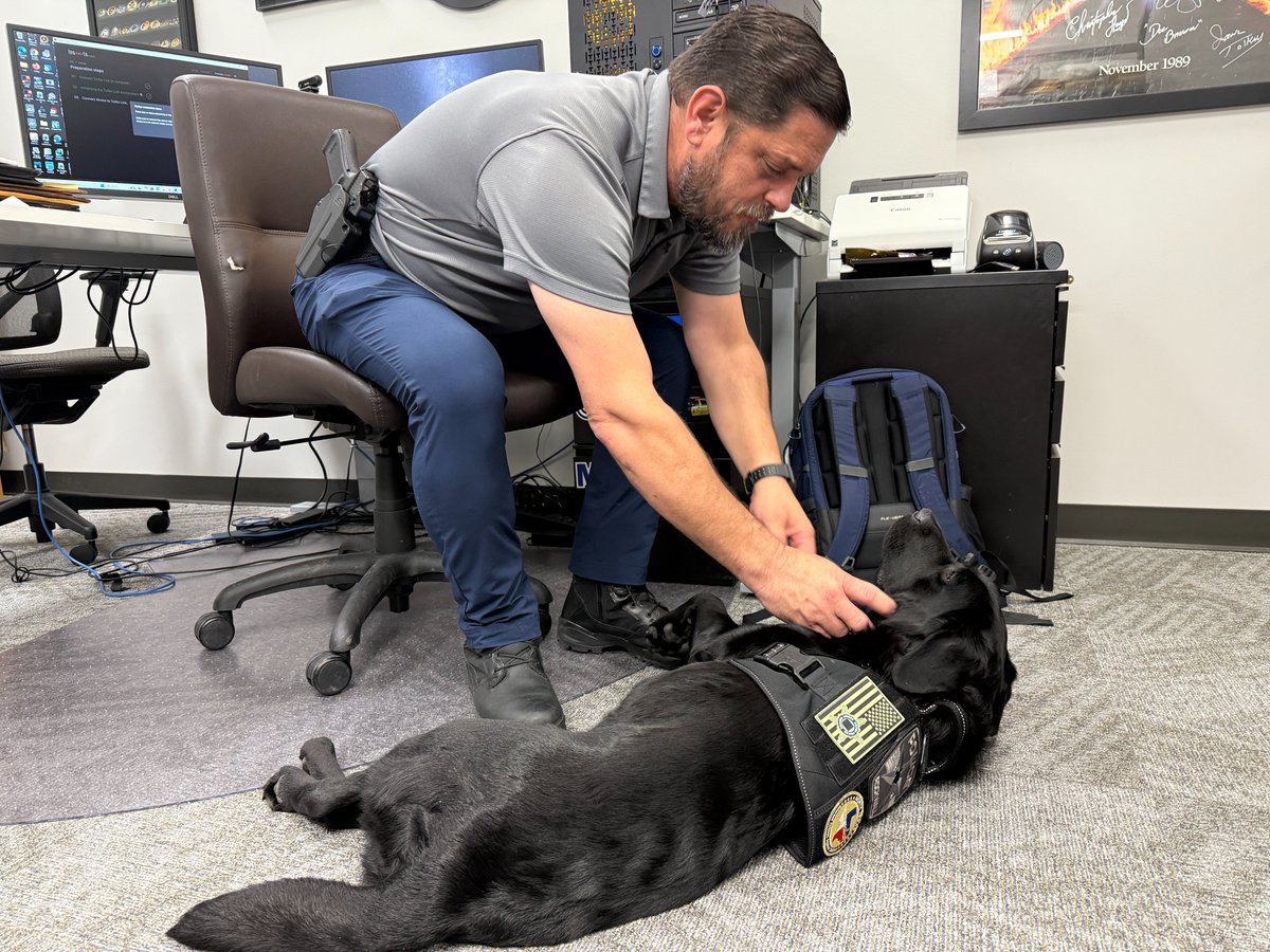 Blessing tweet media