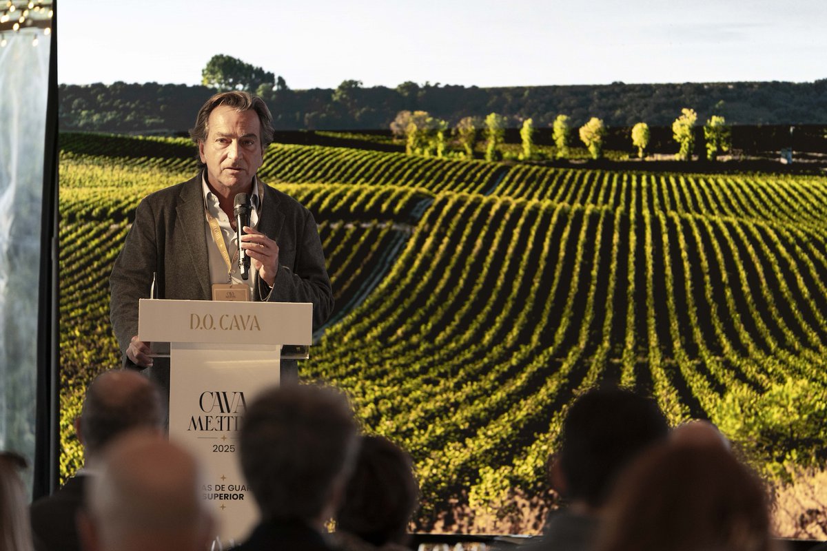 The disconnect between quality ambition and grower remuneration was the undertone of the 2nd Cava Meeting that took place in Penedes. Many subjects covered in this in-depth report from neuroscience to terroir tastings, grower economics to Corpinnat. Click  the-buyer.net/insight/second…