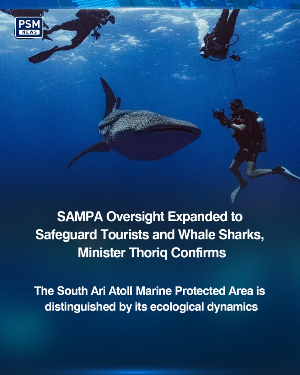 psmnewsmv's tweet image. In February, the Ministry of Tourism and Environment mandated that tourists may only enter SAMPA under the supervision of certified guides holding the official SAMPA Guide Certificate.

psmnews.mv/en/169481