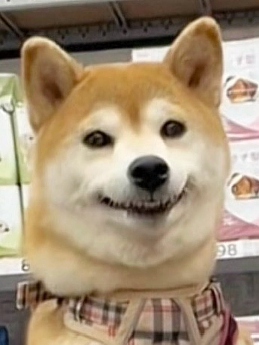 土曜日(休日) 日曜日(休日) 月曜日(祝日) 今日(連休明け)