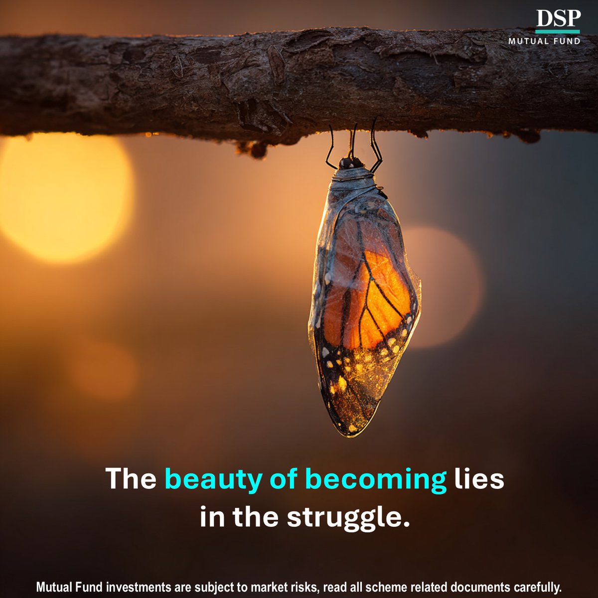 dspmf's tweet image. Smallcap Index Funds feel like that phase too: Early but full of possibility.