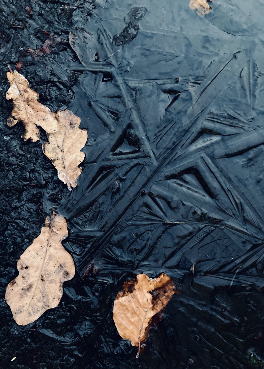 Dark puddle geometry.