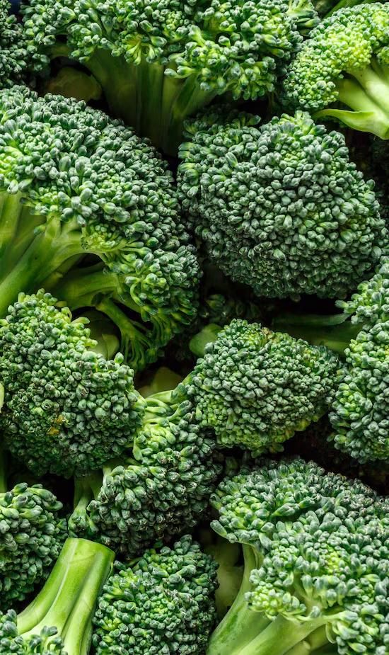 LonelyAppleTree's tweet image. Broccoli. The devil&apos;s vegetable.