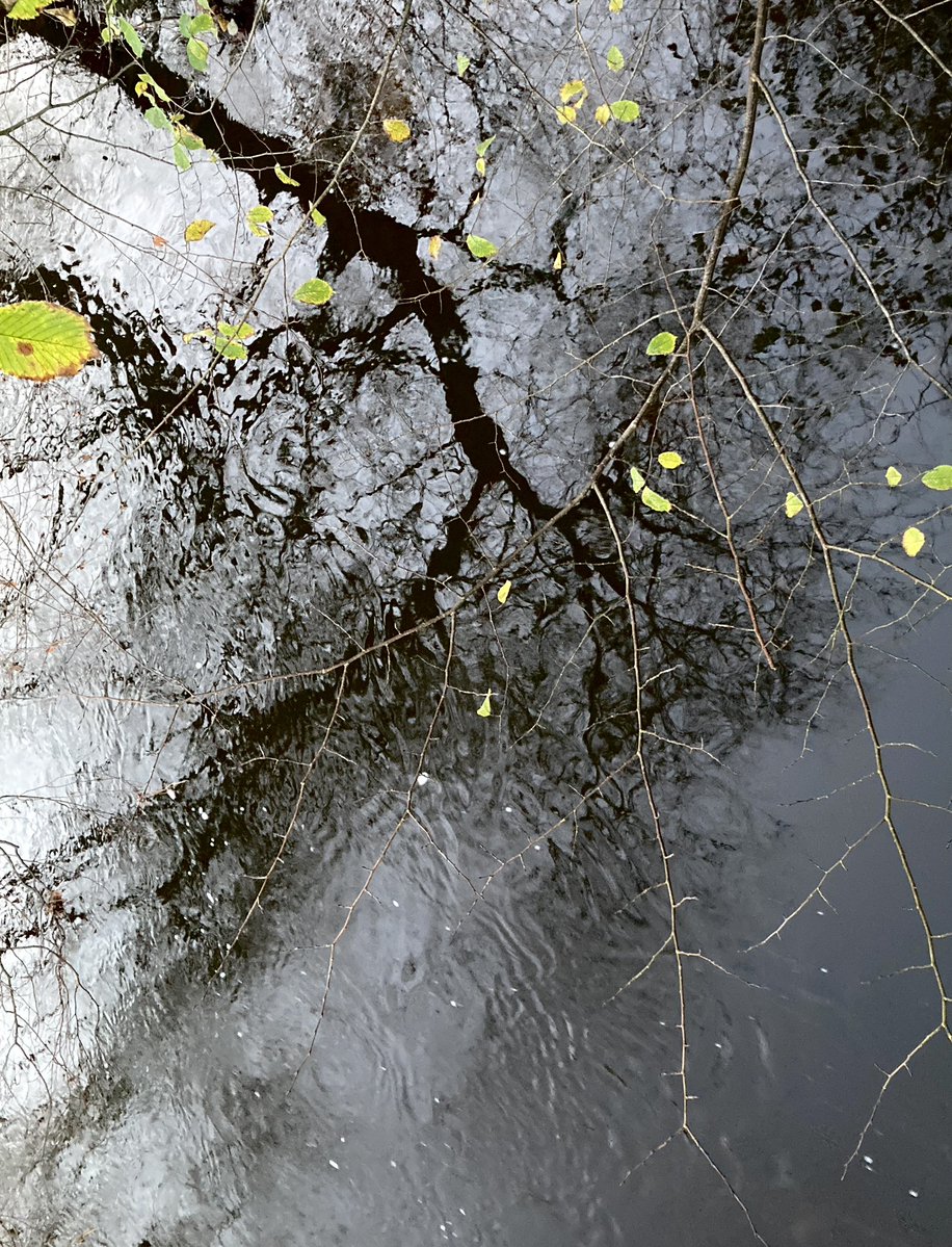 The river this morning.