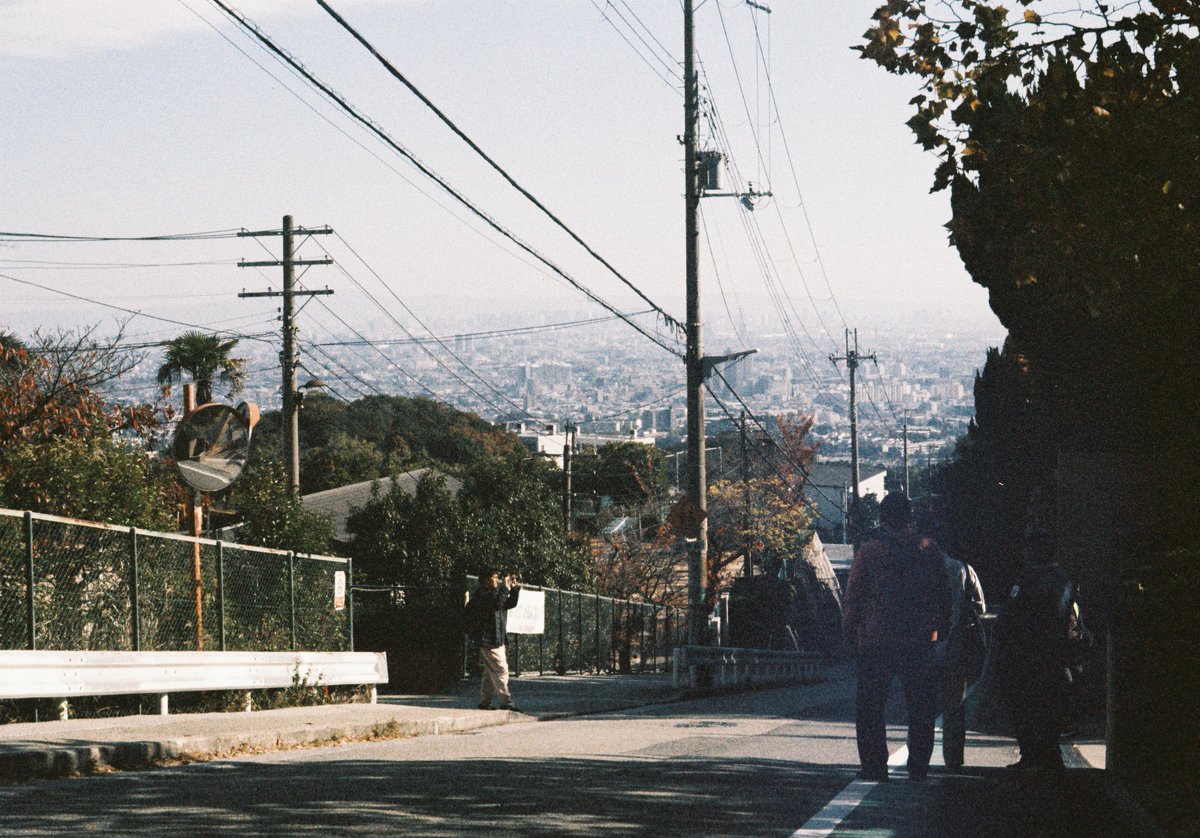 RABIT🐇 tweet media