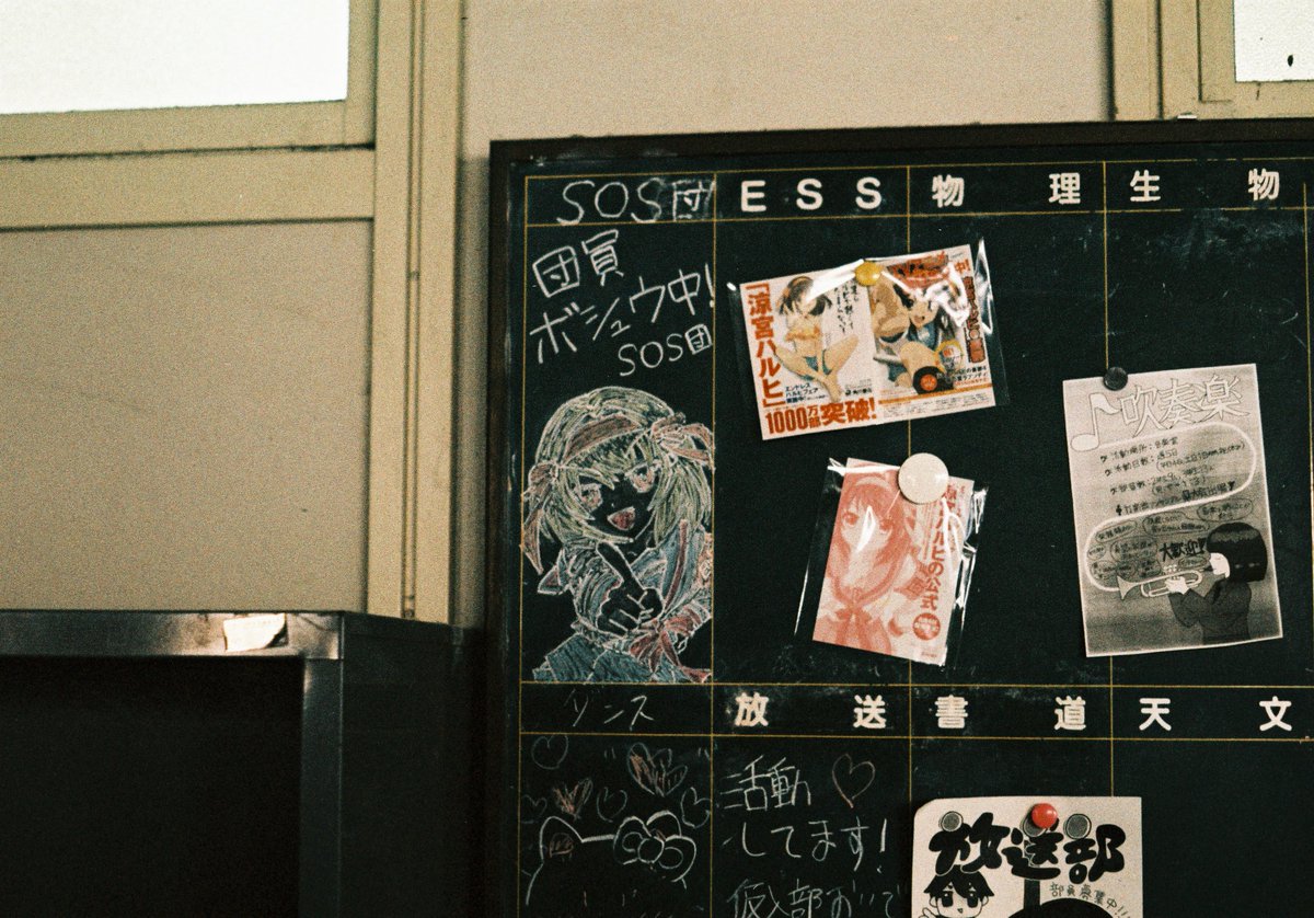 RABIT🐇 tweet media